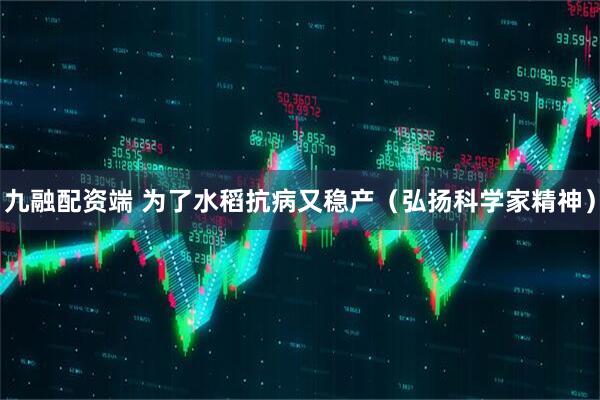 九融配资端 为了水稻抗病又稳产(弘扬科学家精神)